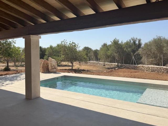 Newly built detached house with pool near Ses Salines