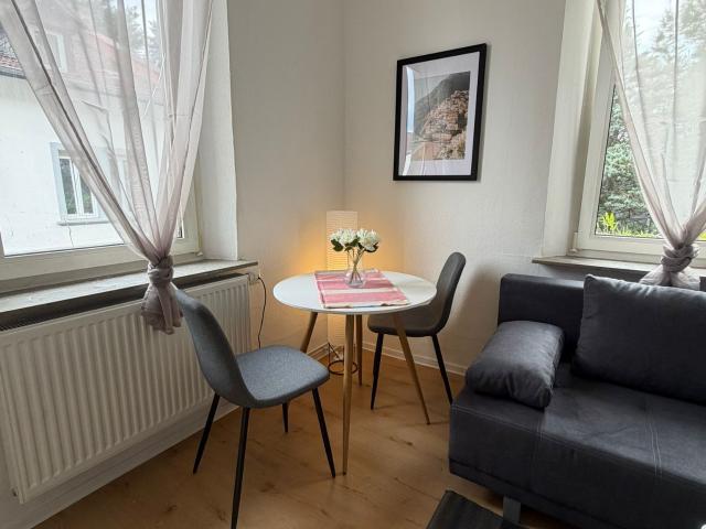 Newly furnished apartment in Alzey