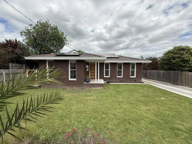 NEWLY RENOVATED 3 BEDROOM HOME