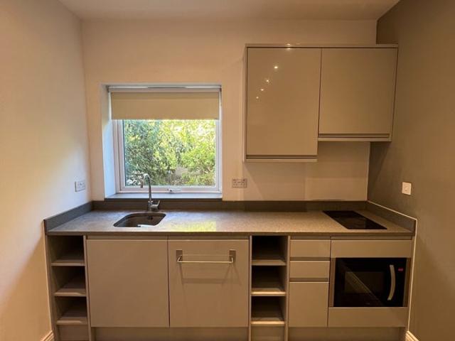 Newly renovated 1 bedroom. Water + WiFi included