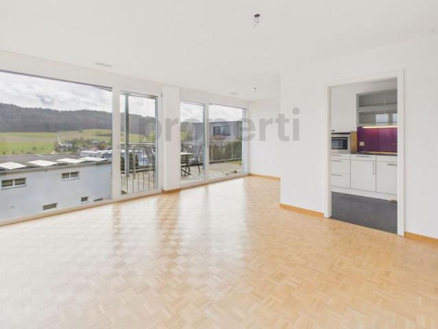 Newly renovated 2.5 room apartment with Minergie standard, Safenwil