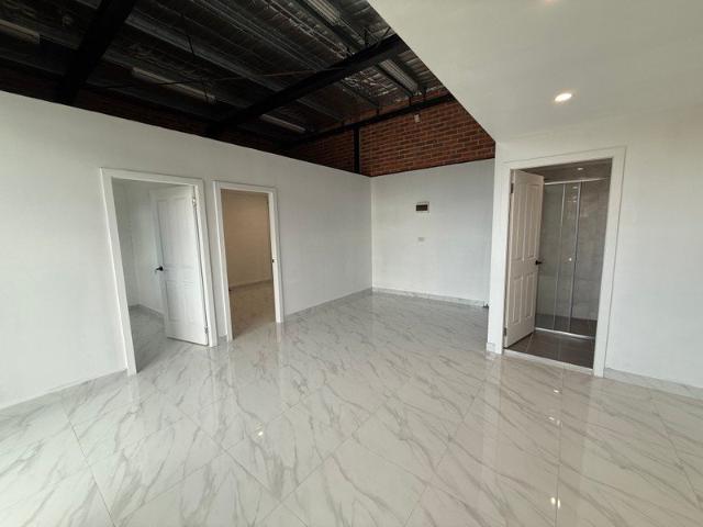 Newly Renovated 2 Bed + Seperate Studio !