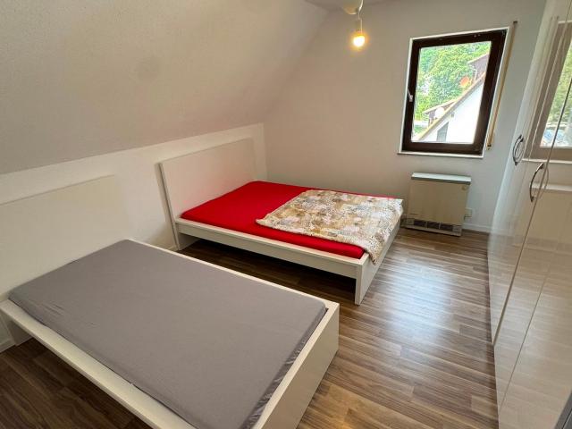 Newly renovated 4.5 room apartment