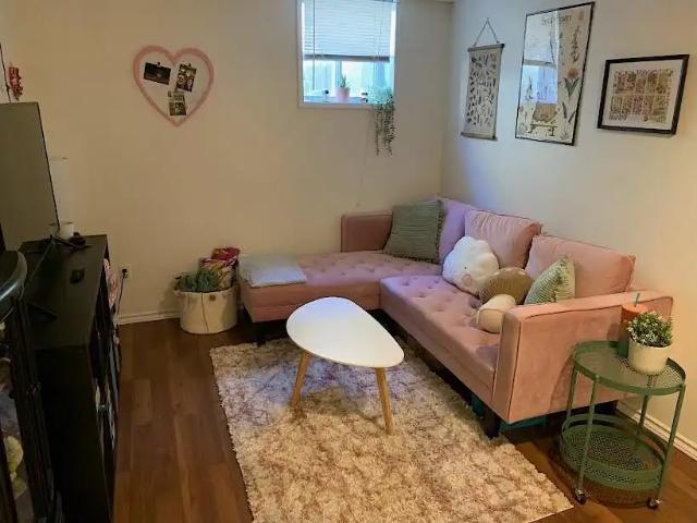 Newly Renovated Cheery 1 Bdrm Basement Suite in the popular Ritchie 'hood!
