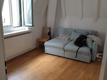 Newly renovated city apartment right by the Oerlikon train station/market square!