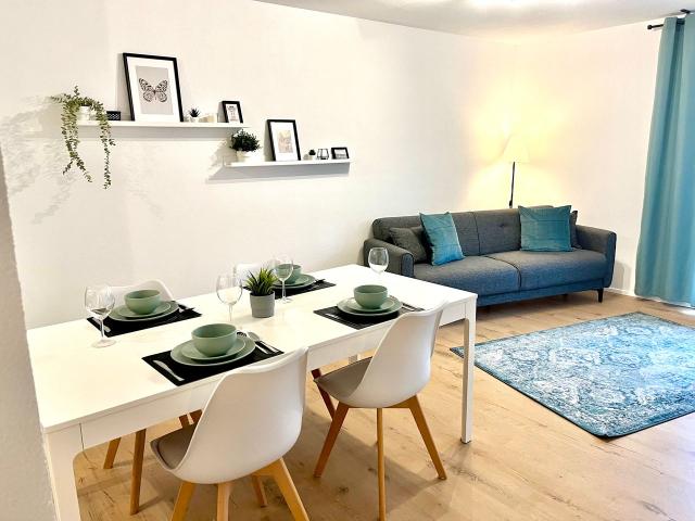 Newly renovated and fully furnished 3 room apartment in a central location in Karlsruhe, Karlsruhe Amsterdam Apartments for Rent