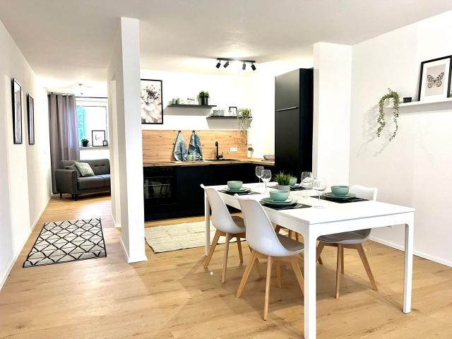 Newly renovated and fully furnished 3 room apartment in a central location in Karlsruhe, Karlsruhe Amsterdam Apartments for Rent