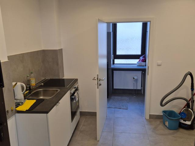 Newly Renovated Apartment near City