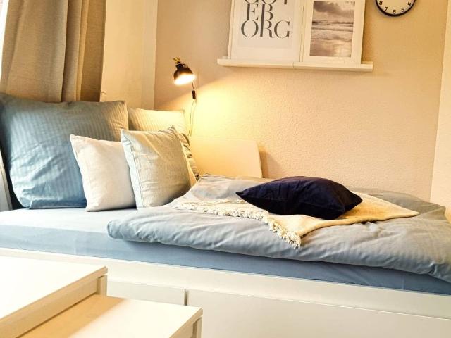 newly renovated apartment