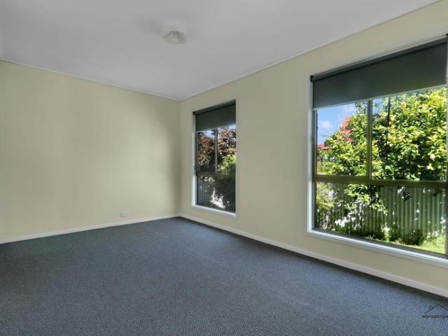 Newly Renovated Delight