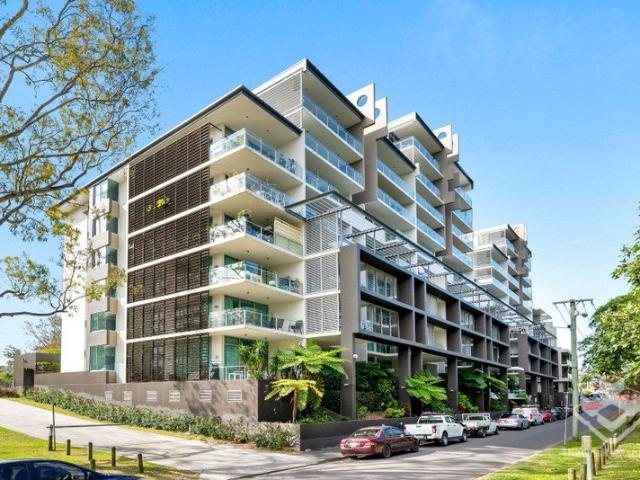 Newly Renovated | Extra High Ceilings | 2 Car Spaces | Park Views