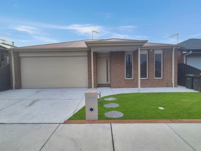Newly renovated Family Home in amazing location
