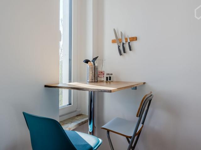 Newly Renovated & Furnished – Stylish and Bright 2 Room Apartment in Trendy Neukölln, Berlin Amsterdam Apartments for Rent