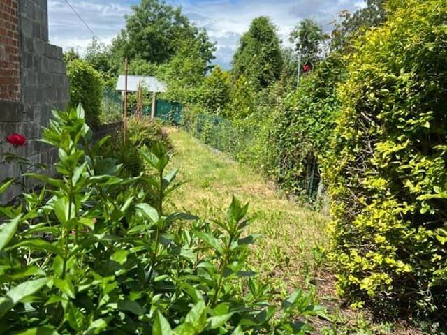 Newly renovated house, 4 bedrooms, 2 bathrooms, garden