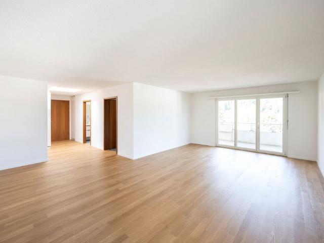 Newly renovated oasis of well being in Bremgarten!