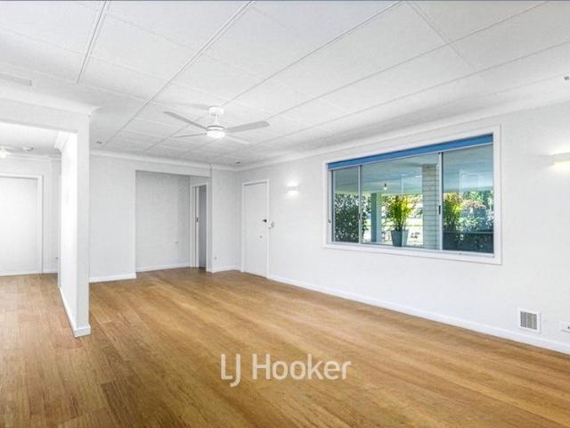 Newly Renovated, Modern and Spacious