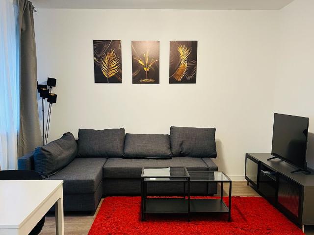 Newly Renovated & Modern: Fully Furnished 3 Bedroom Apartment near Düsseldorf, Duisburg Amsterdam Apartments for Rent