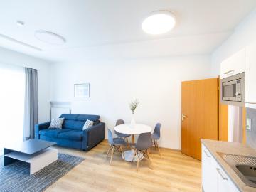 Newly renovated, spacious apartment with balcony