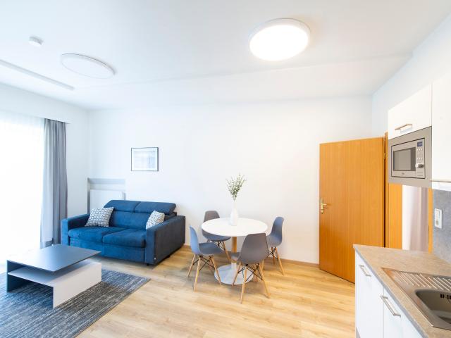 Newly renovated, spacious apartment with balcony