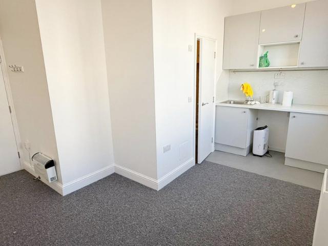 Newly Renovated Studio avail on Chatsworth Road E5
