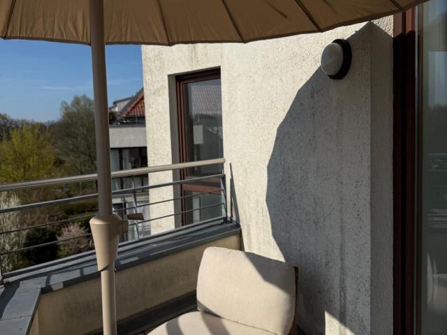 Newly renovated stylish studio with forest sunset view in Pankow, Berlin Amsterdam Apartments for Rent