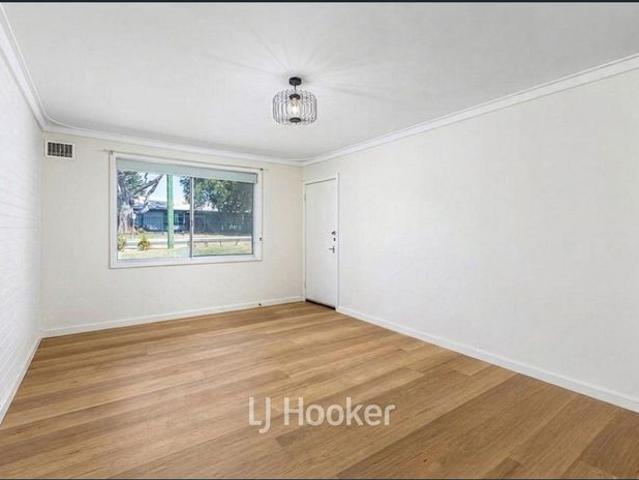 Newly Renovated with Shed and Side Access