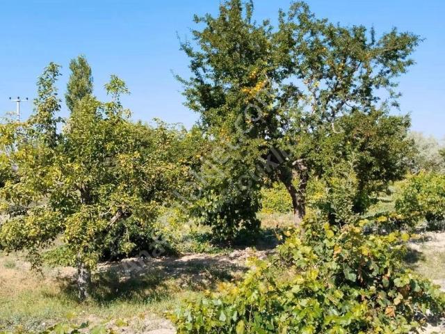 Niğde Bor Acıgöl'de Satılık 4065m² Bahçeli İskanlı Kargir Ev