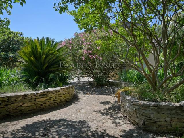 Nîmes, la campagne en ville, entre pins, oliviers et pierres. 192m² Nîmes