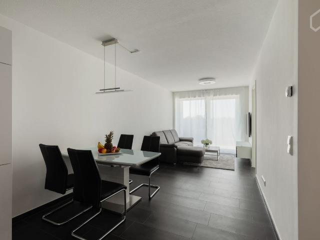 Nice new Apartment with balcony, Frankfurt Amsterdam Apartments for Rent