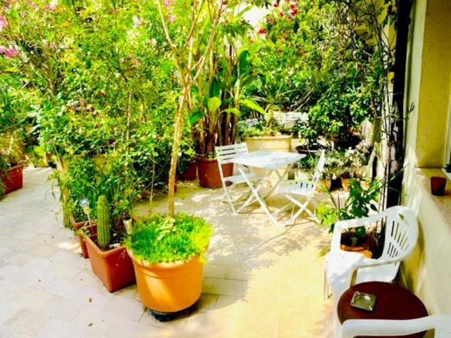 Nice Nice 06300 102704518
