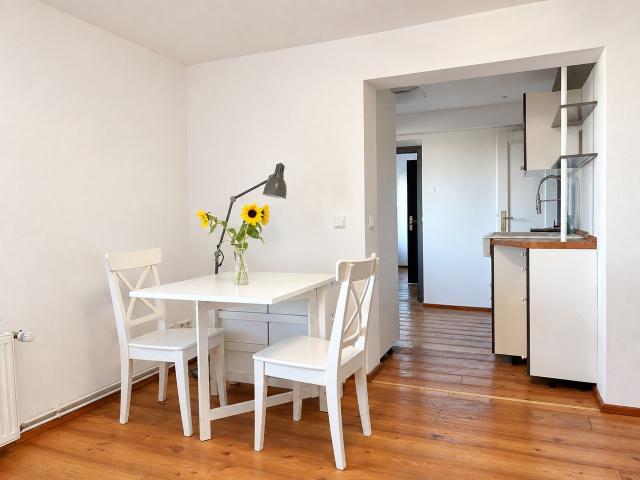 nice and bright apartment with fantastic view over Heidelberg, Heidelberg Amsterdam Apartments for Rent