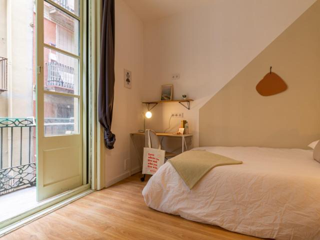 Nice and cosy double bedroom in the centre of Barcelona