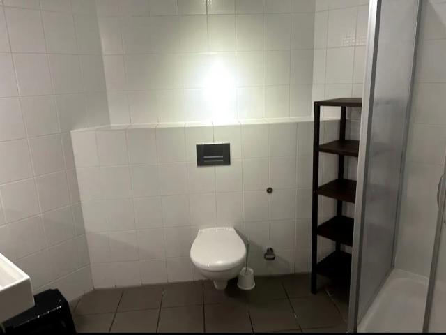 Nice and cozy loft in Hürth, Hurth Amsterdam Apartments for Rent