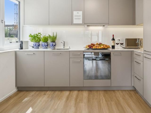 Nice and fantastic suite Zürich, Zurich Amsterdam Apartments for Rent