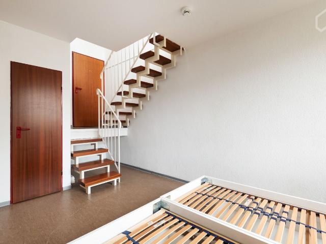 Nice and inexpensive 2 room apartment in the heart of Mainz, Mainz Amsterdam Apartments for Rent