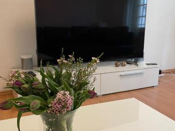 Nice and recently renovated appartement in the middle of the historic old town near the river, Heidelberg Amsterdam Apartments for Rent