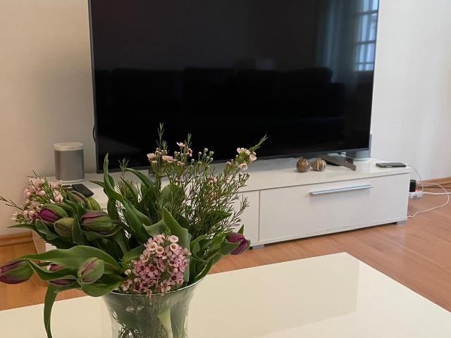 Nice and recently renovated appartement in the middle of the historic old town near the river, Heidelberg Amsterdam Apartments for Rent