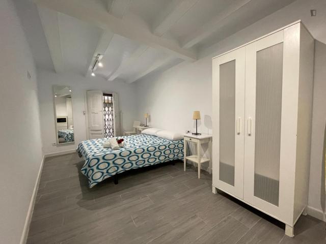 Nice and spacious apartment in Barrio Gótico