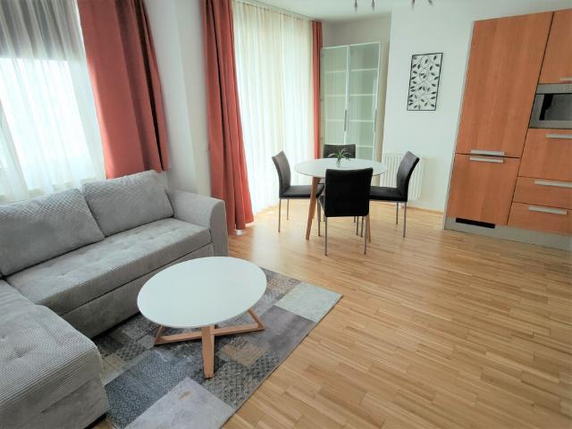 Nice and sunny flat with garage