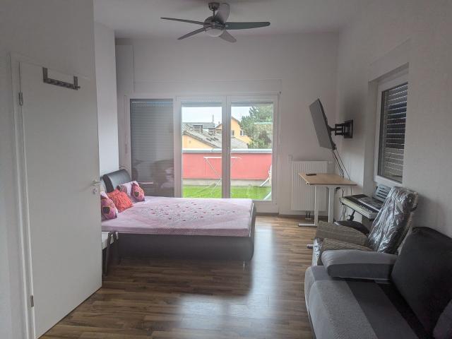Nice home Heidelberg, Heidelberg Amsterdam Apartments for Rent