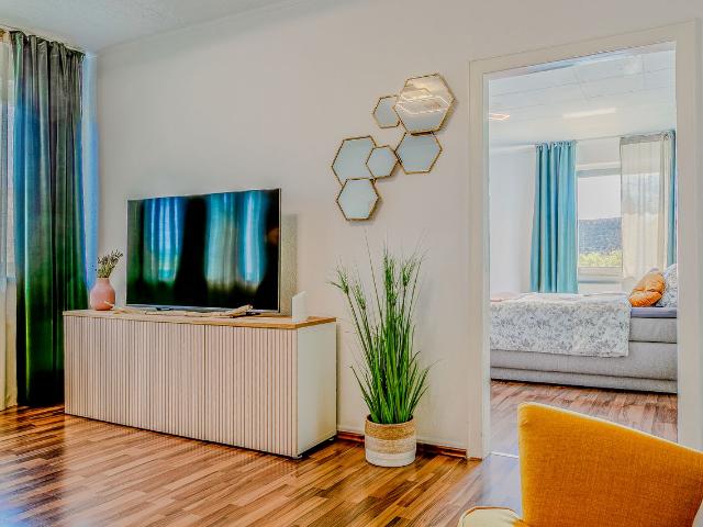Nice, quiet flat in Trier, Trier Amsterdam Apartments for Rent
