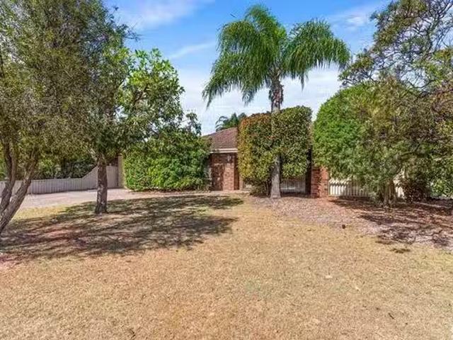 Nice 16 Mandarin Way, Seville Grove, WA 6112