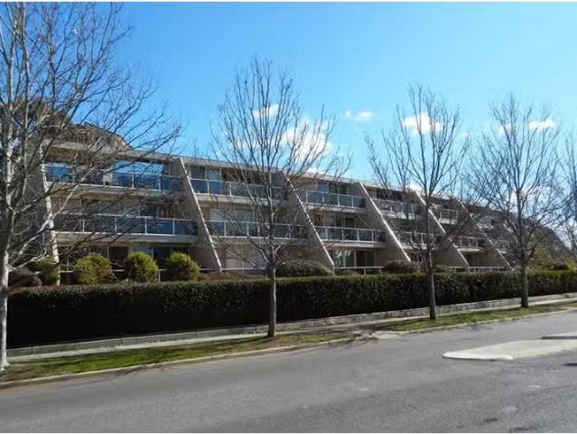 Unique 17/17 Chandler Street, BELCONNEN House for rent Listed.