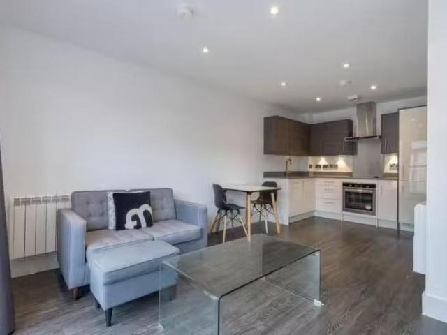 Unique 1 BA 1 bedroom apartment for rent in The Foundry, Carve.