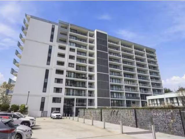 Nice 1 BR 234/1 Mouat Street, Lyneham Apartment for rent List.