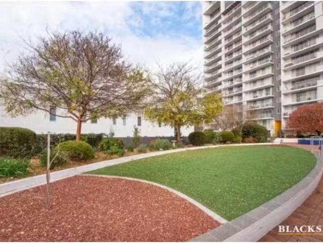 For Rent! 1 BR 8A/60 Callum Street, Phillip Apartment for rent.