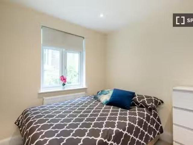 Cheap 1 BR Room for rent in 3 bedroom apartment in Pimlico, Lo.
