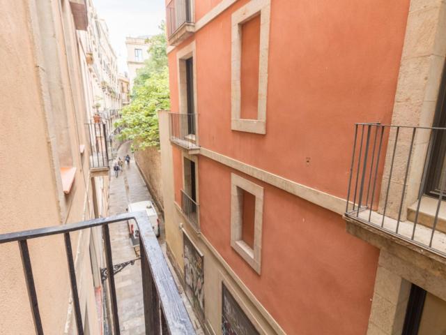 Nice 3 bedroom flat in the Gothic Quarter