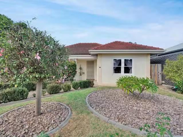 Cheap 3 BR 3 Selkirk Avenue, Clearview, SA 5085