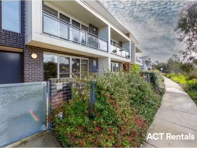 Deal! 3 BR 14/1 Limburg Way, Greenway Apartment for rent List.
